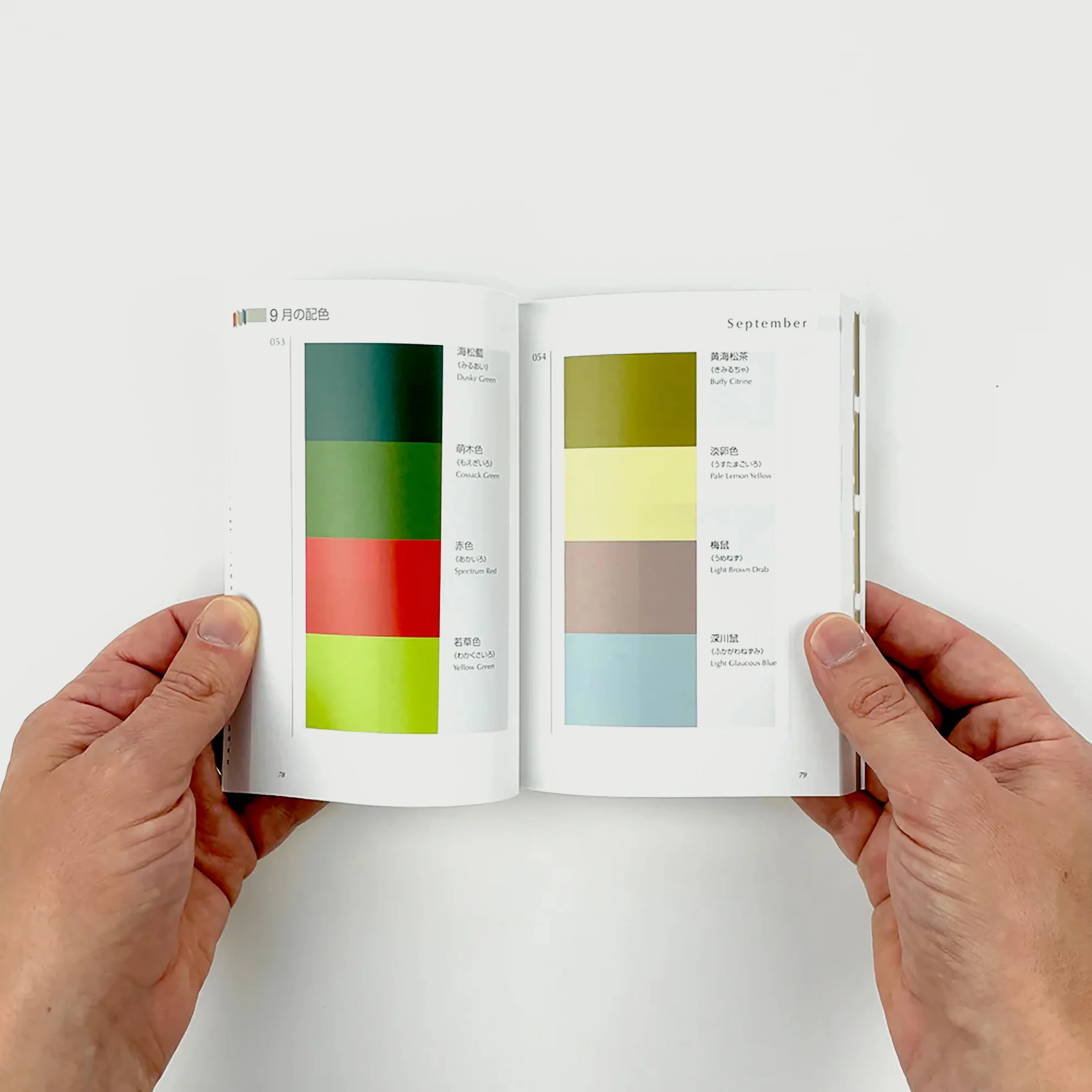 A Dictionary of Colour Combinations - Volume 2 - Image 2