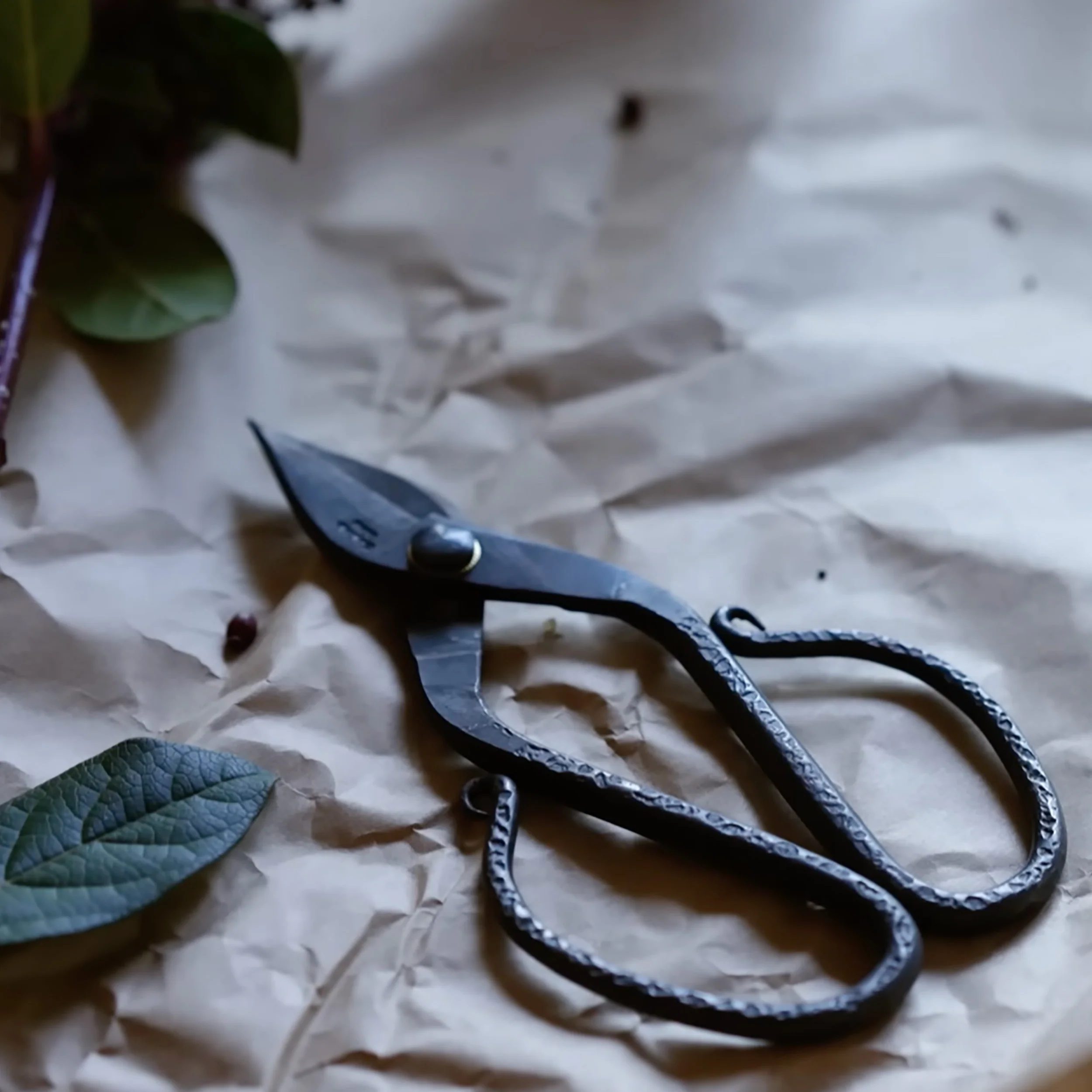 Branch and Root Garden Scissors - Image 2