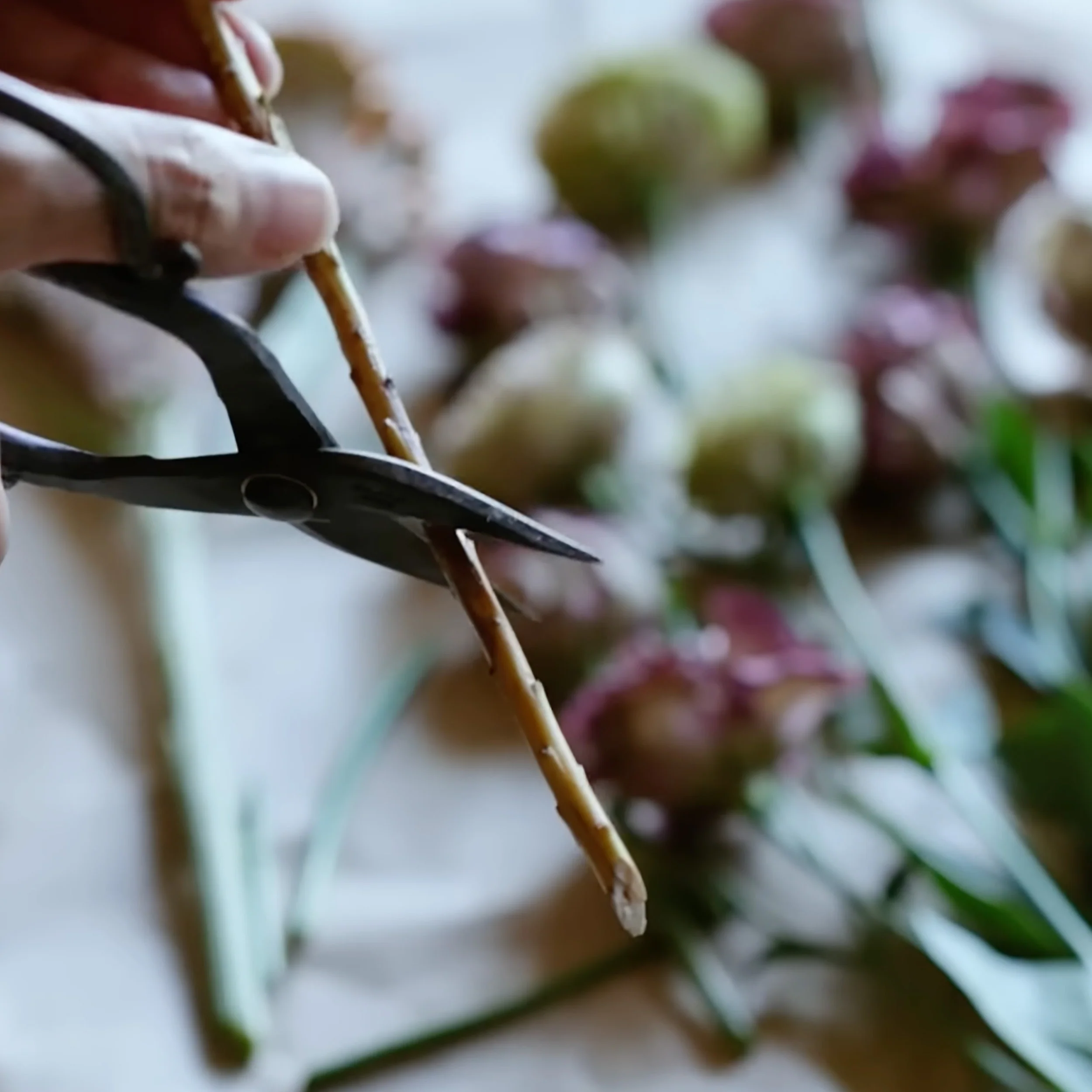 Branch and Root Garden Scissors - Image 3