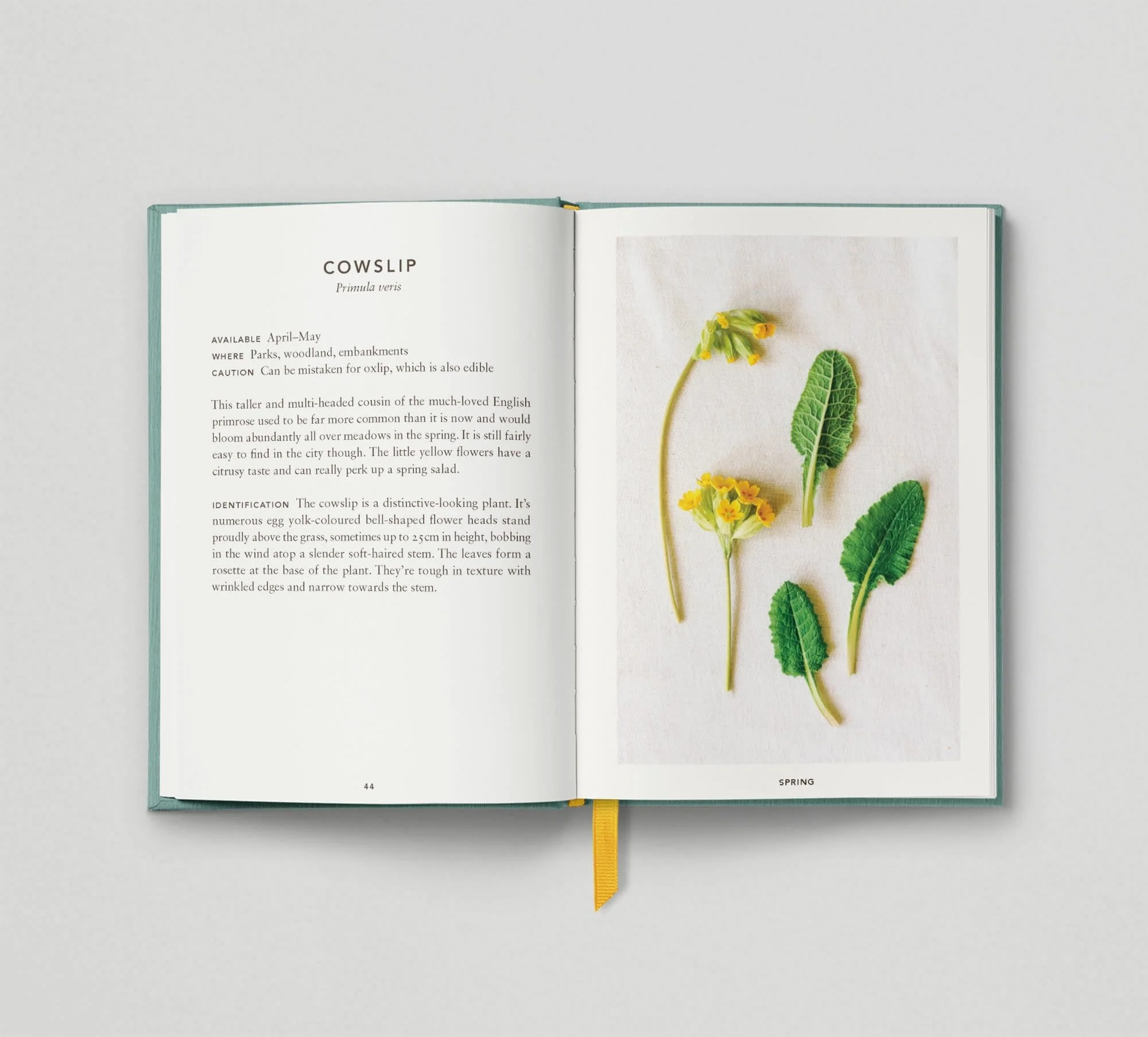 The Urban Forager - Image 3