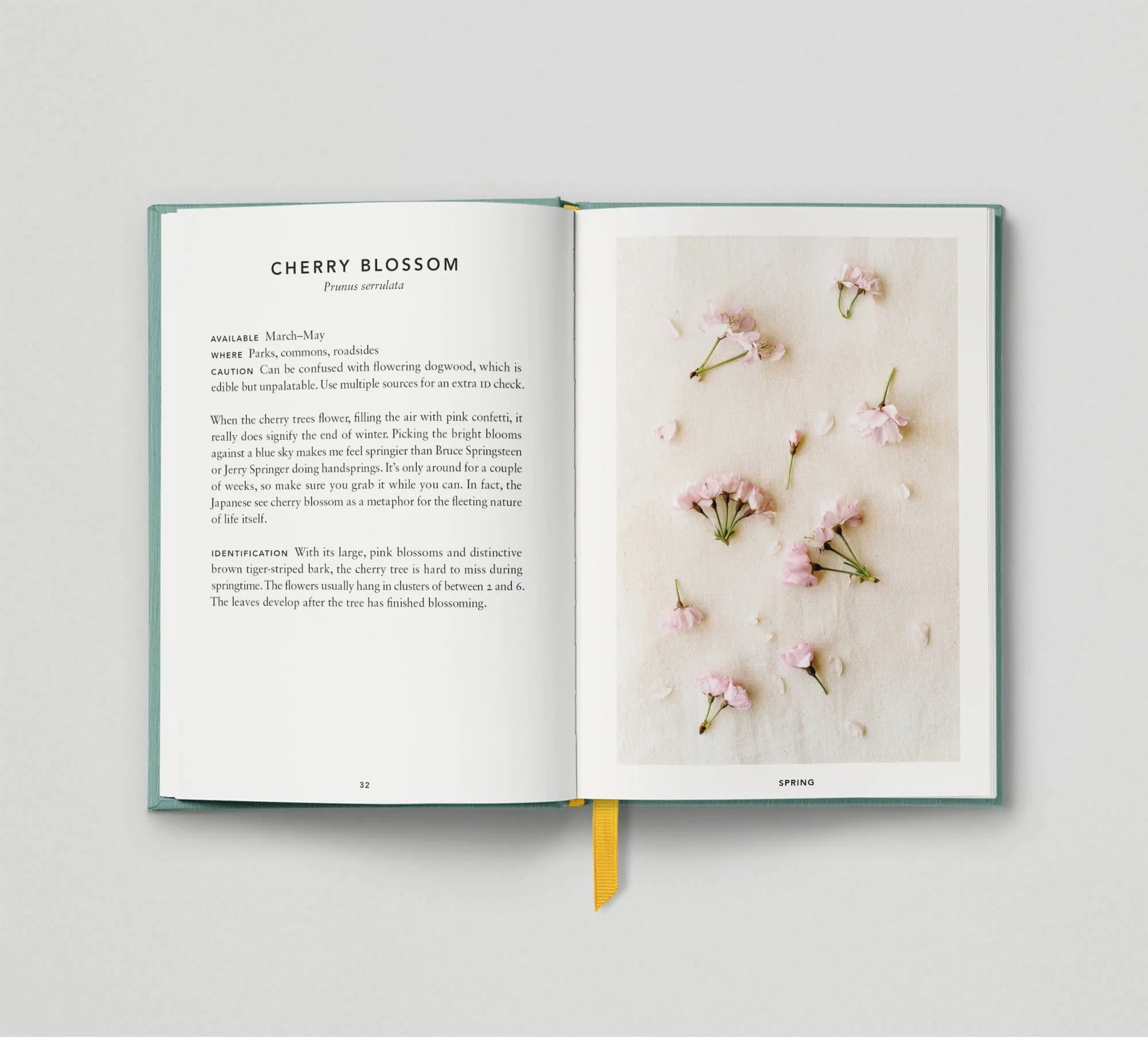 The Urban Forager - Image 6