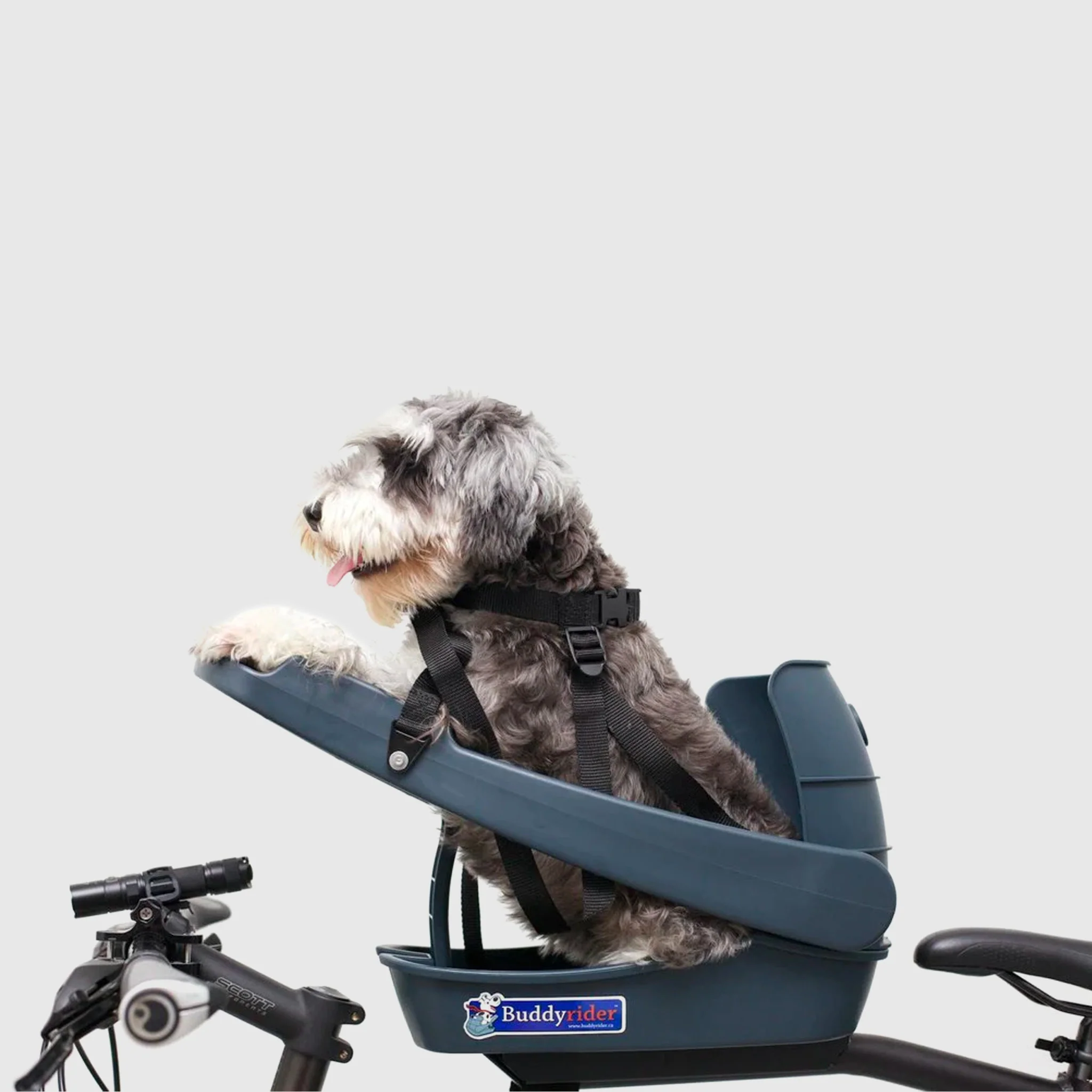 Buddy Rider Dog Carrier - Image 2