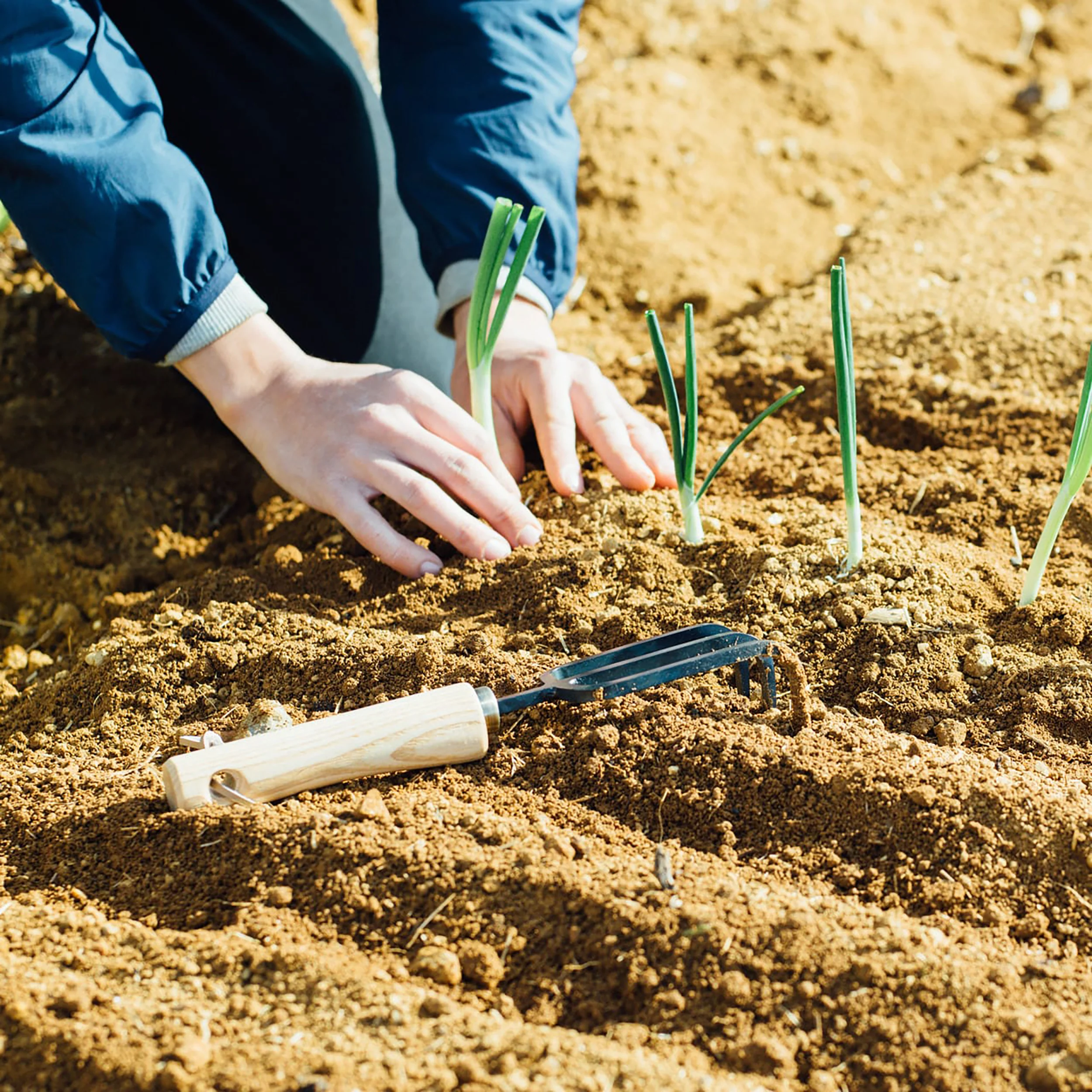 Cultivation Fork - Image 9