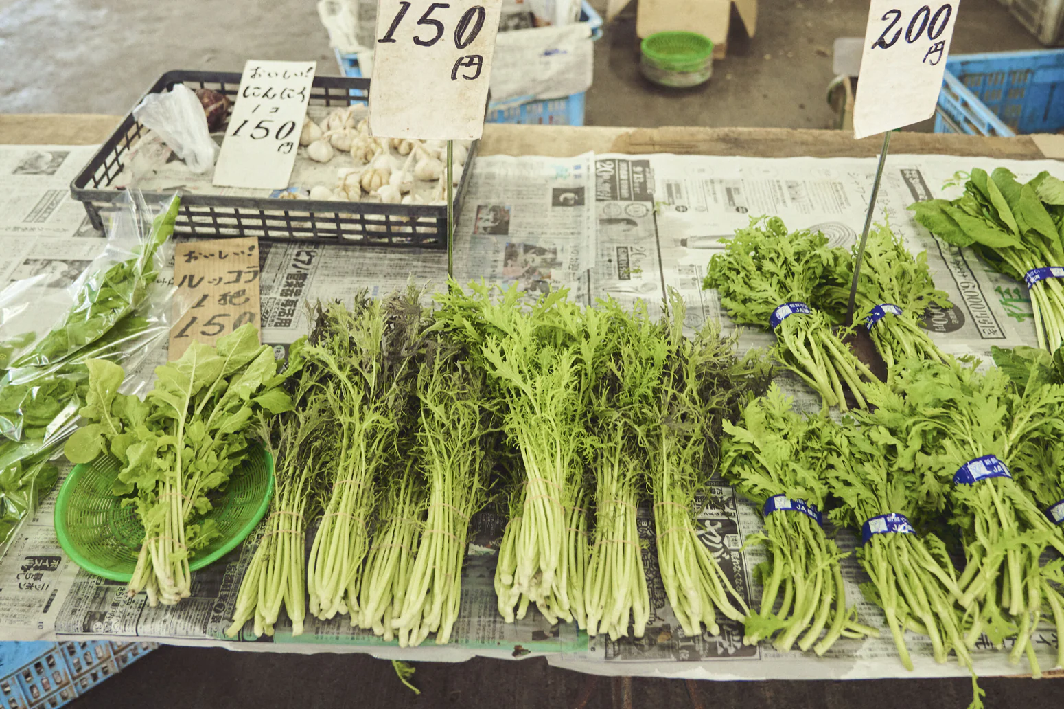 Mizuna Seeds (Japanese Mustard) - Image 2