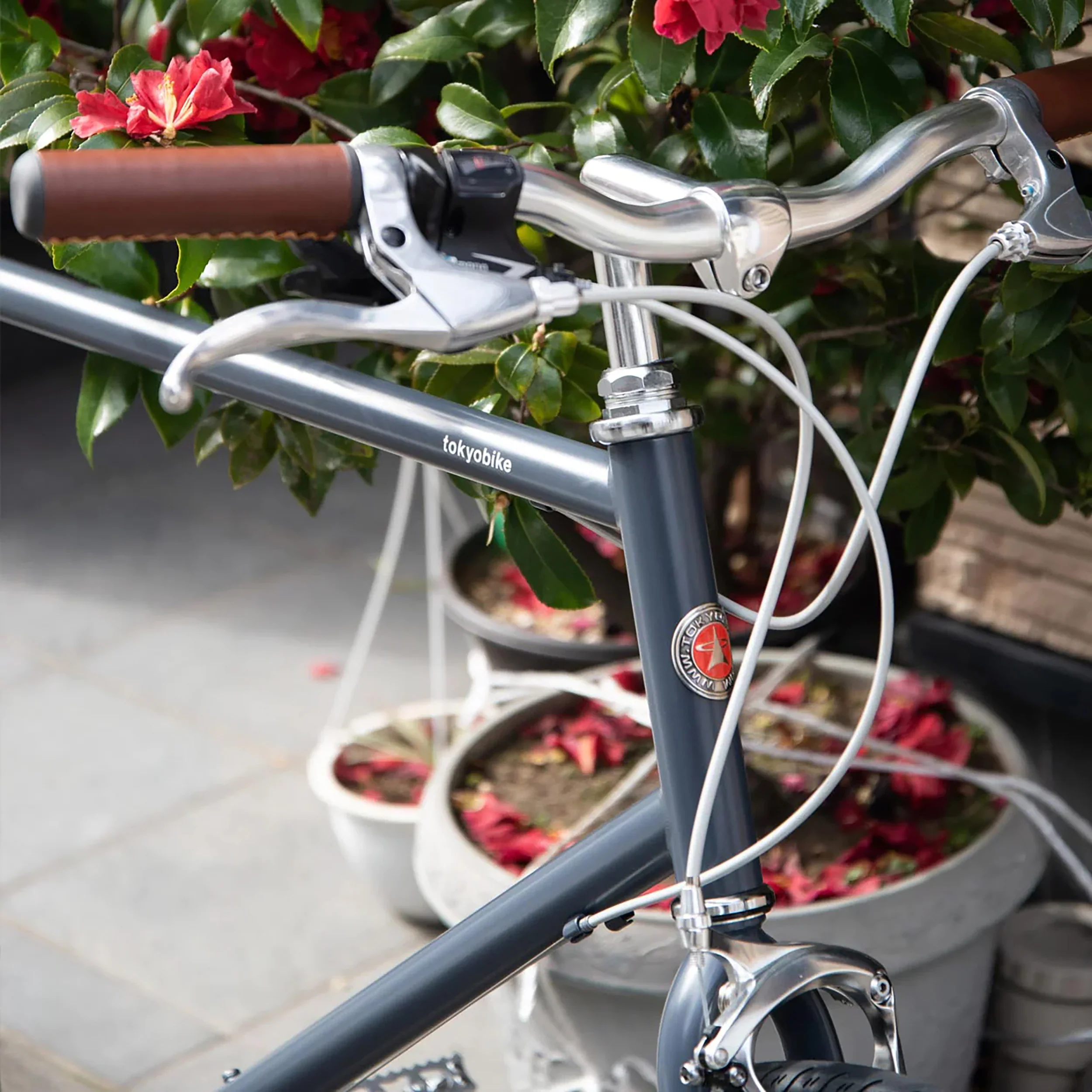 Riser Handlebar Silver - Image 3