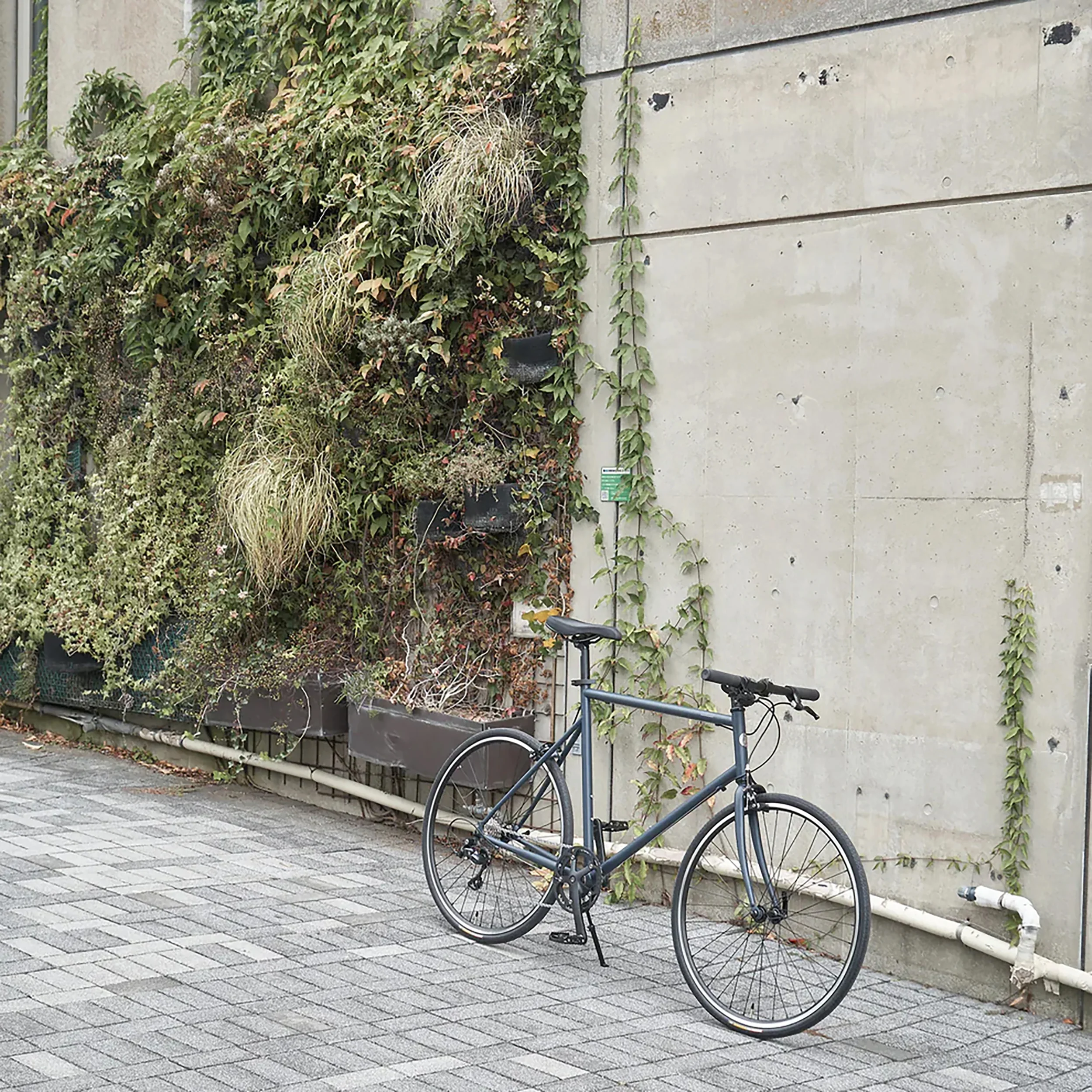 Straight Handlebar Black - Image 2