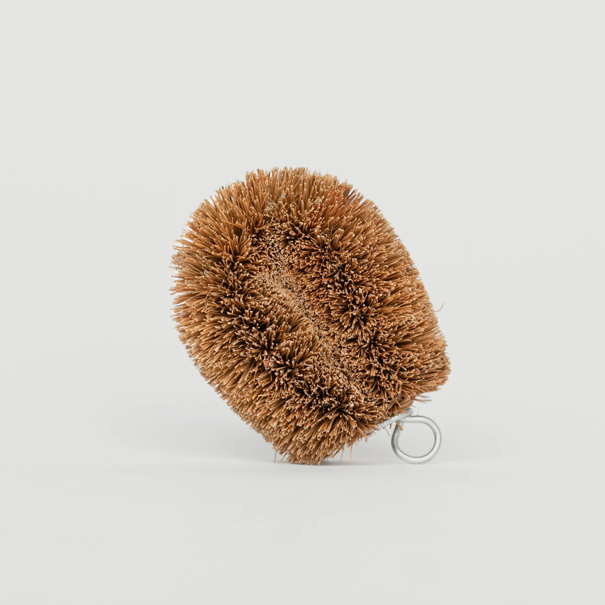 Scrubber Brush - Image 3