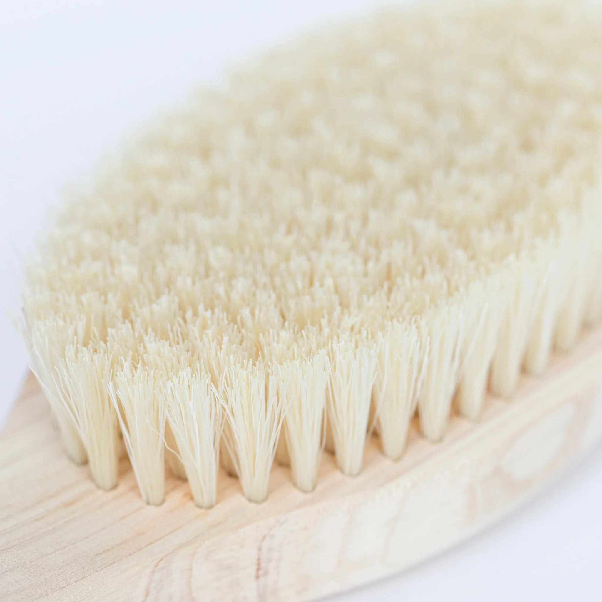 Short Handled Body Brush - Image 6