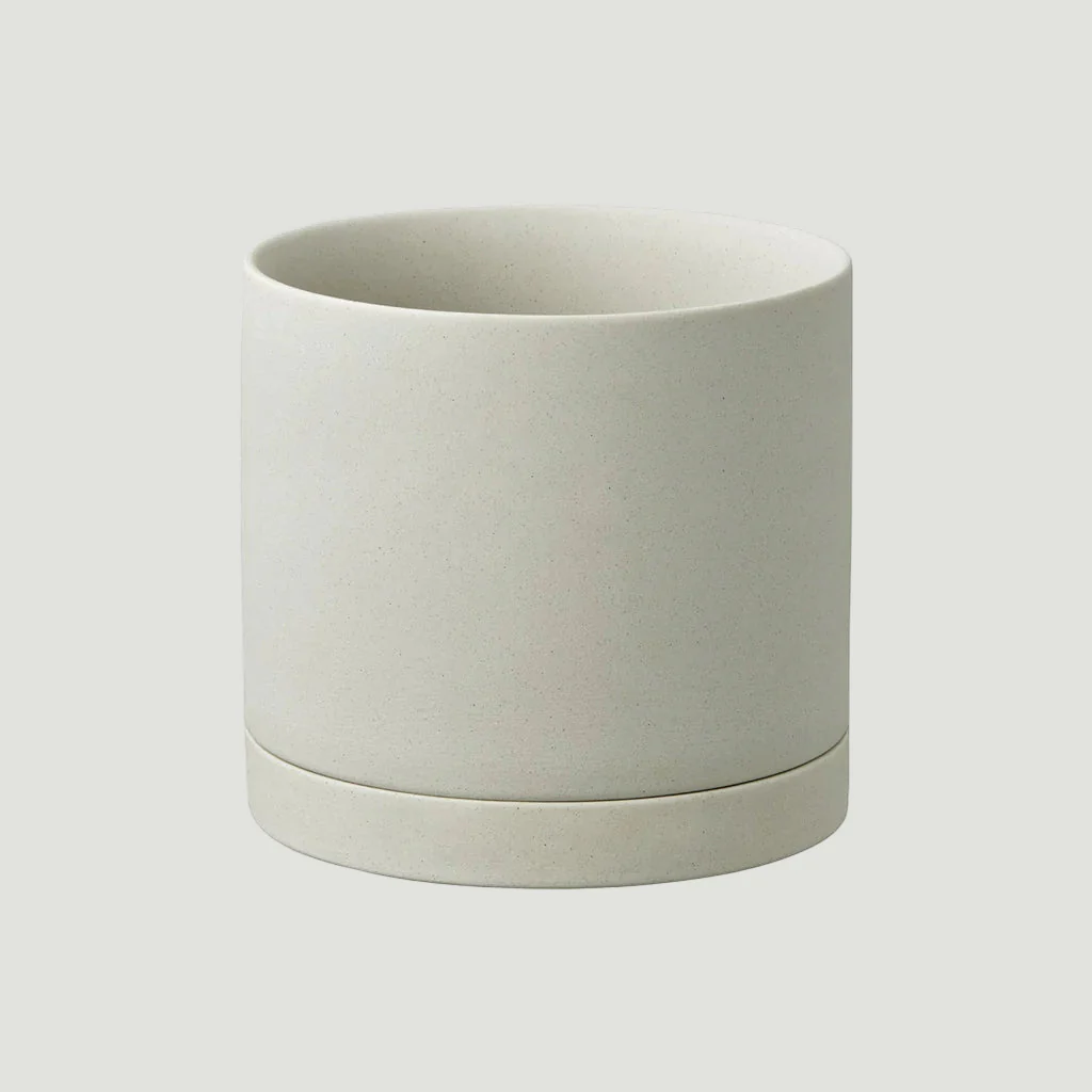 Plant Pot 191 - Image 12