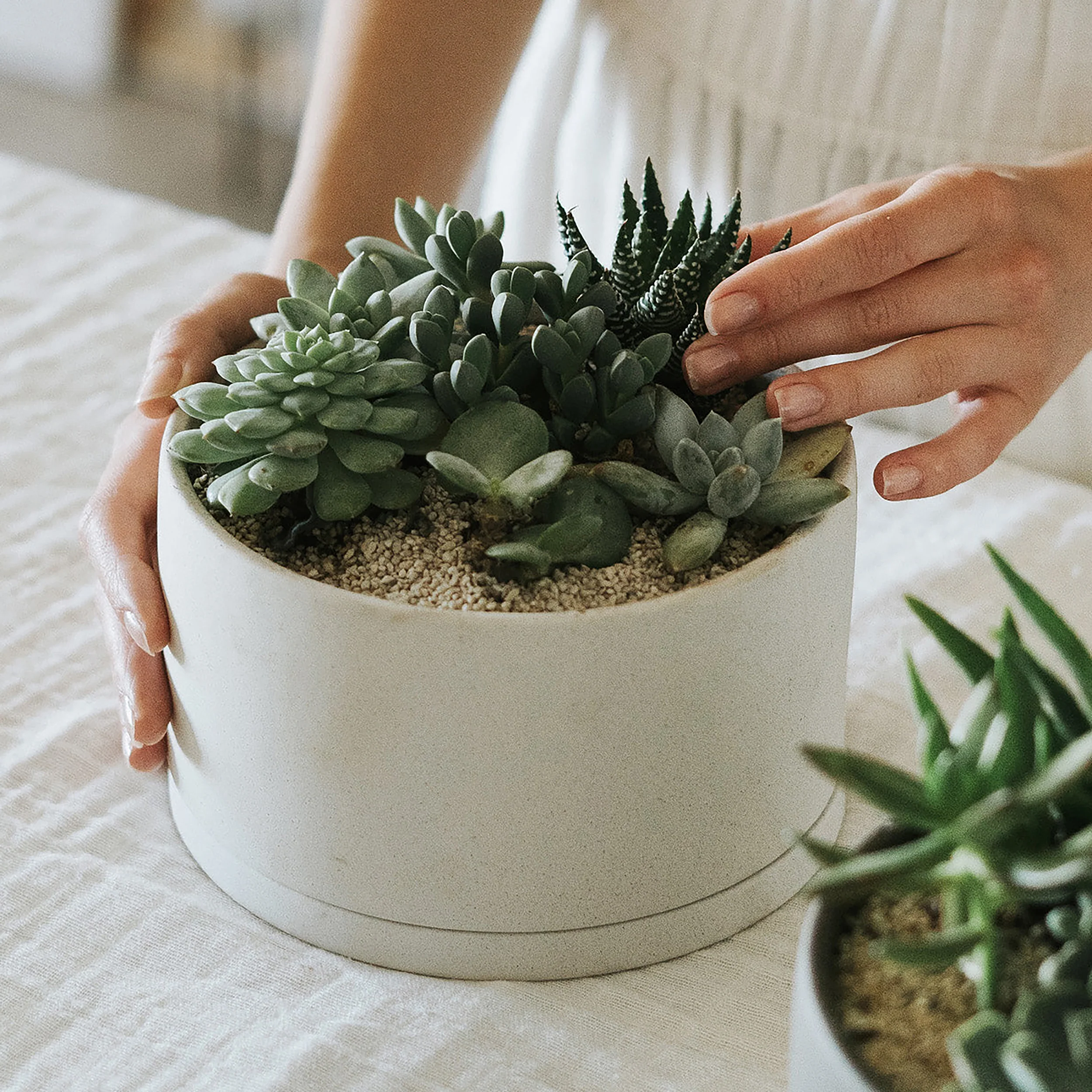 Plant Pot 191 - Image 7