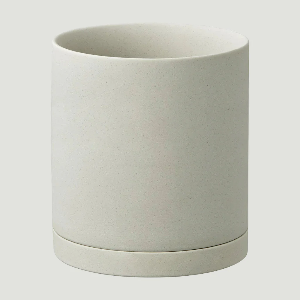 Plant Pot 191 - Image 9