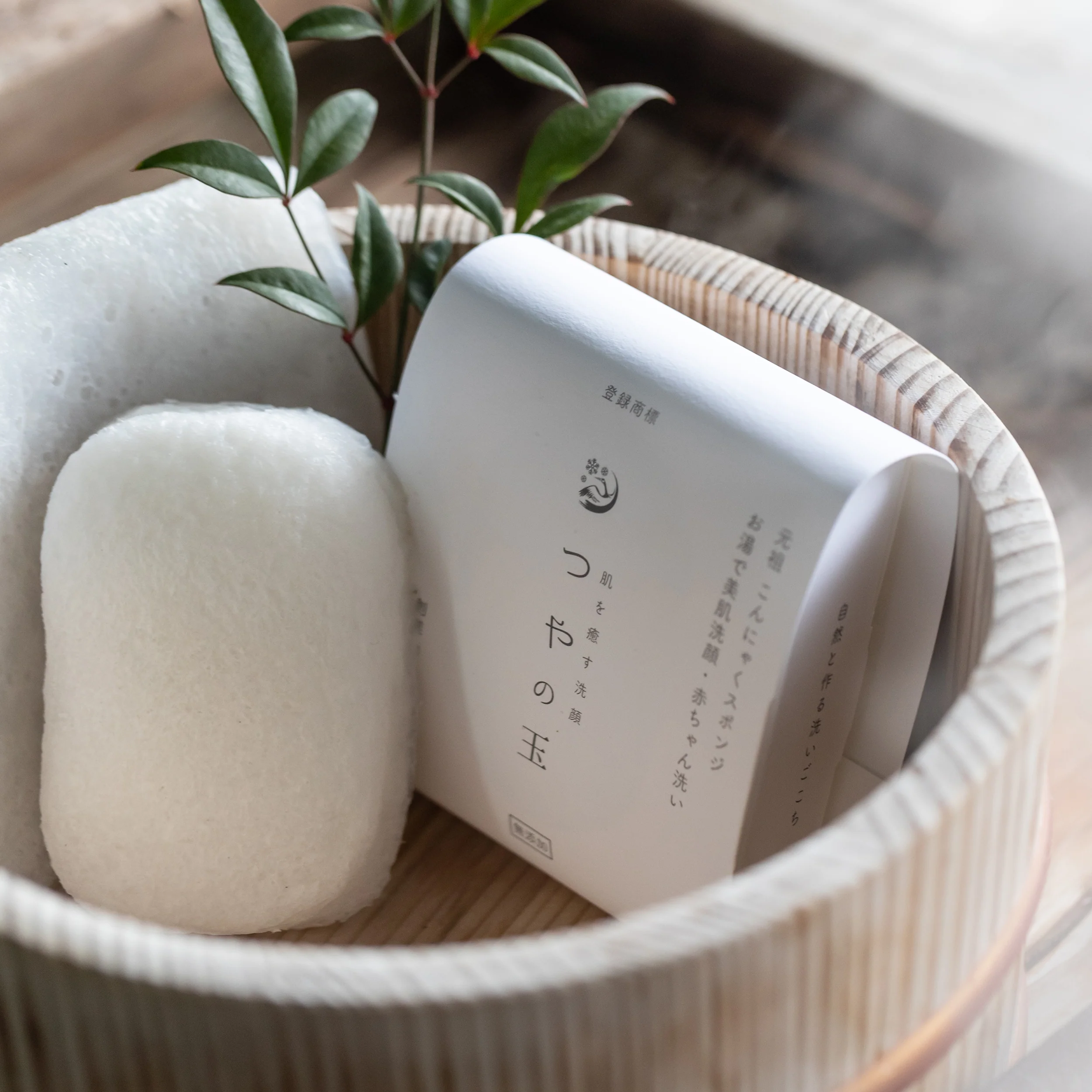 Konjac Sponge - Image 2
