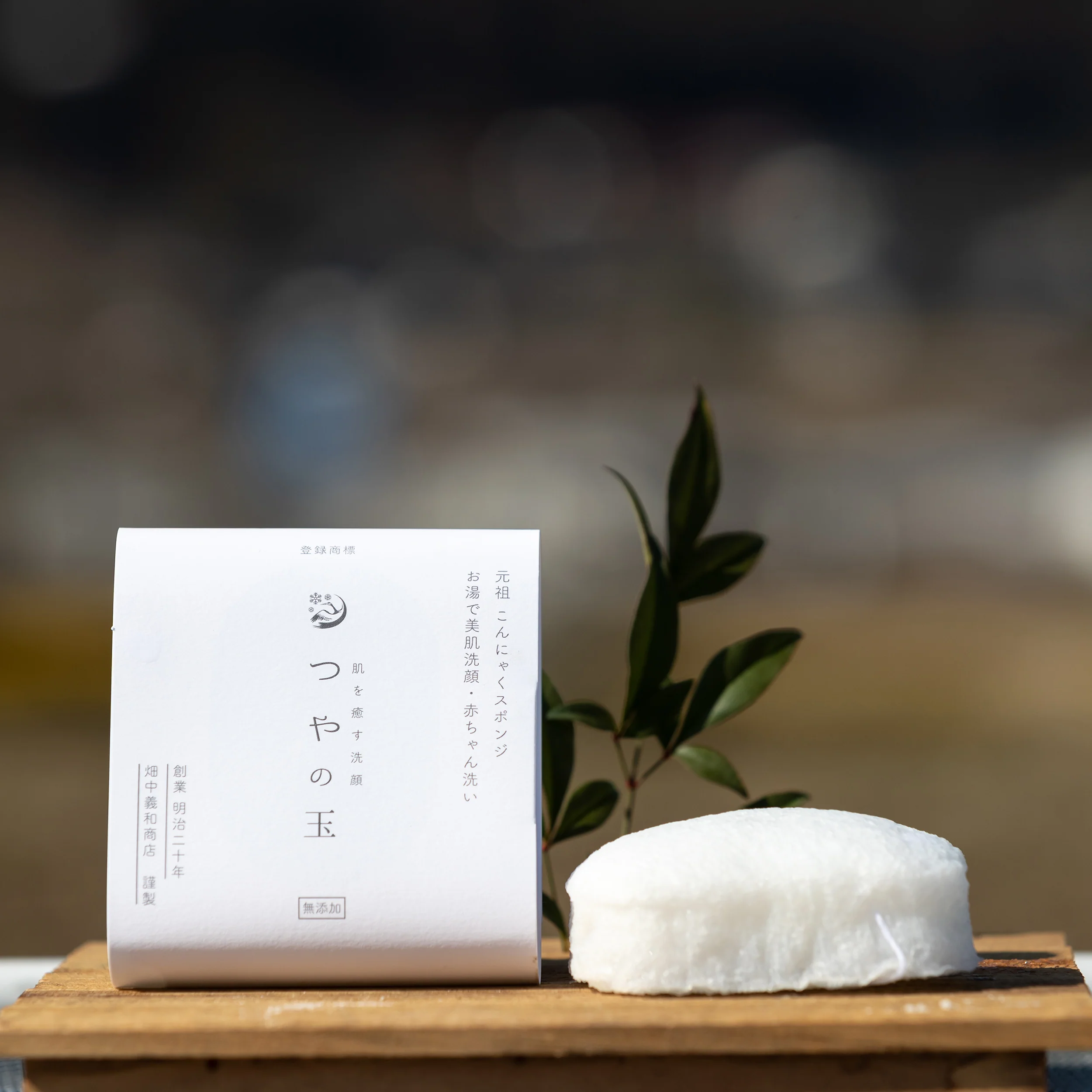 Konjac Sponge - Image 4