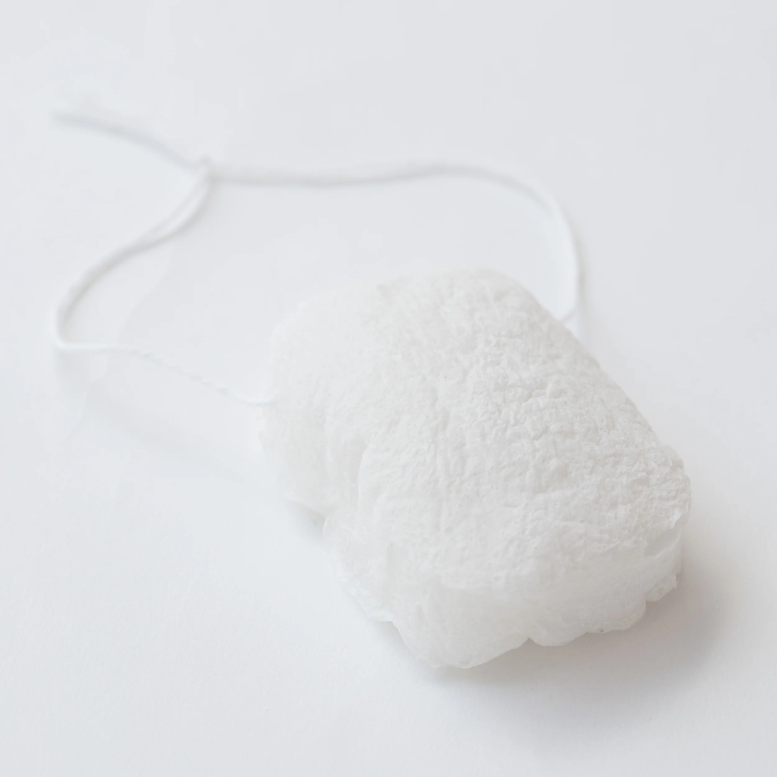 Konjac Sponge - Image 5