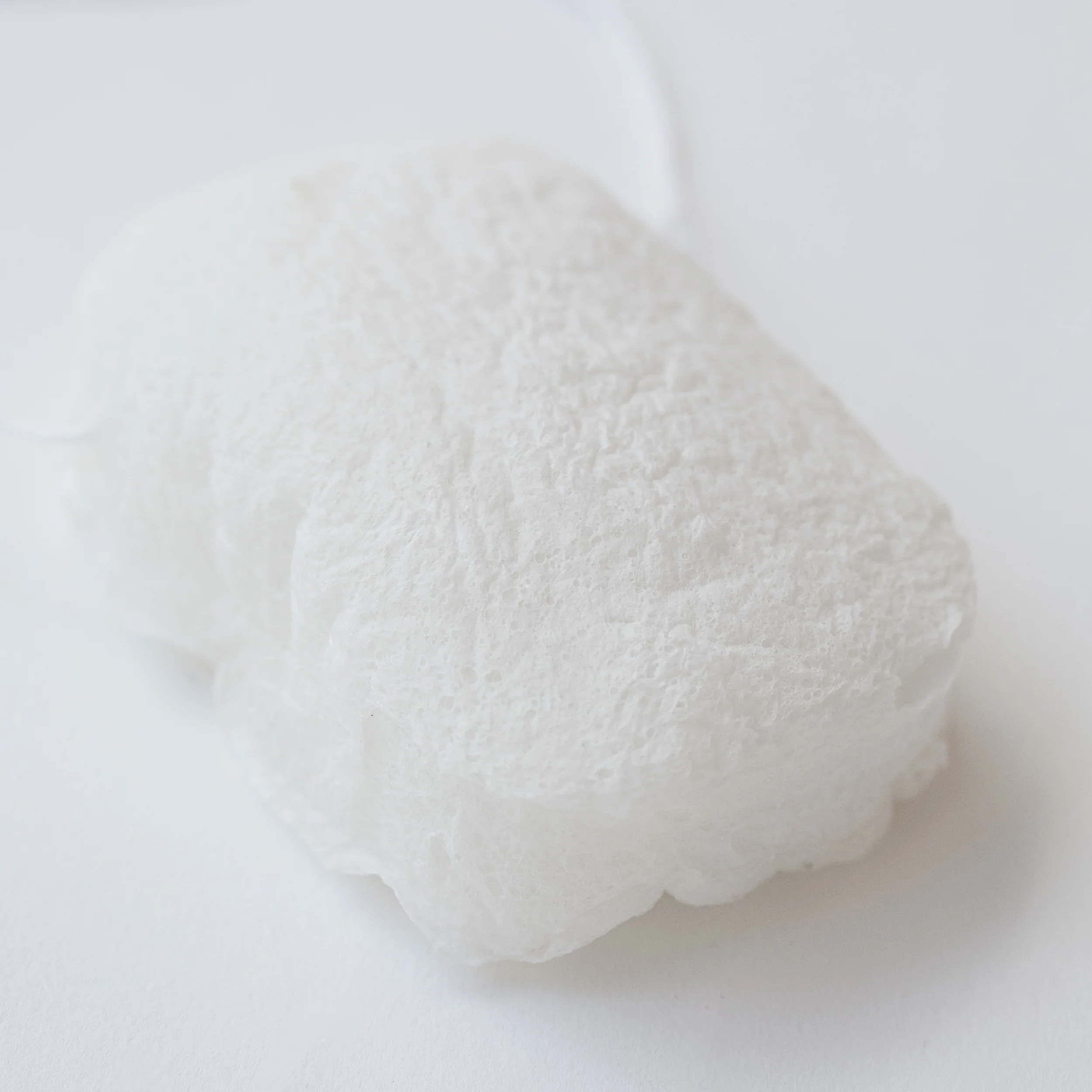 Konjac Sponge - Image 7