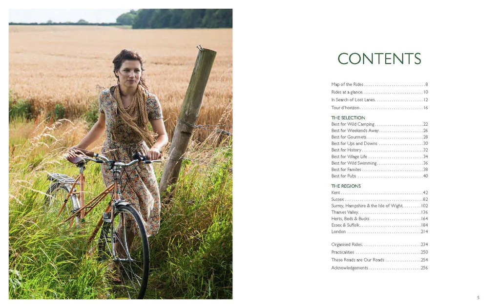 Lost Lanes South - Image 3