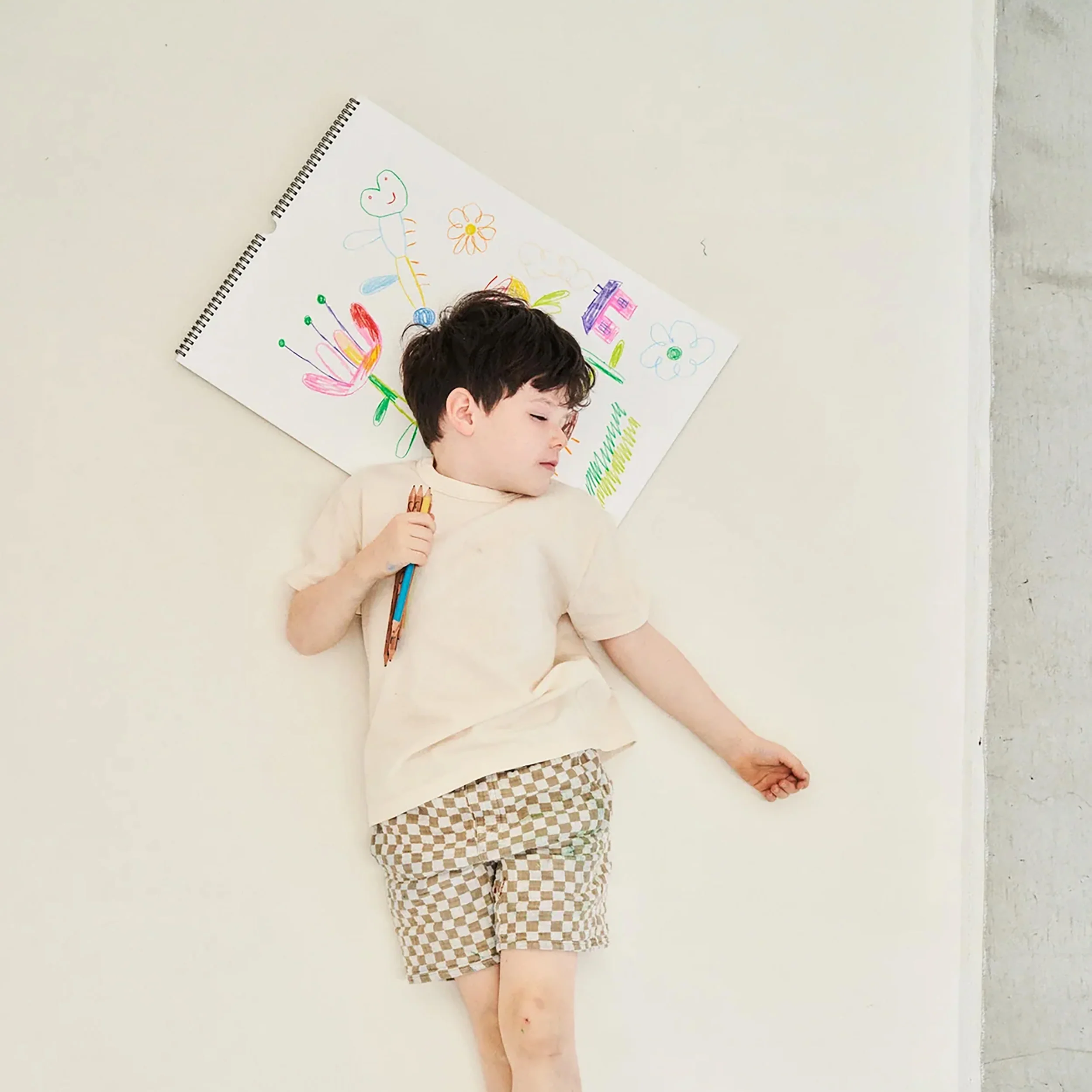 Monier’s Dream Coloured Pencils - Image 8