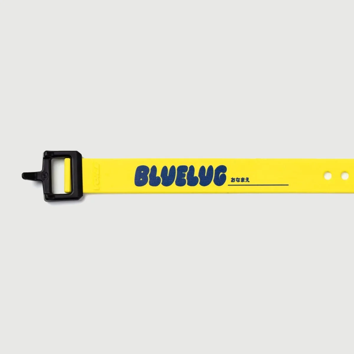 Nylon Buckle Strap - Blue Lug Special - Image 16