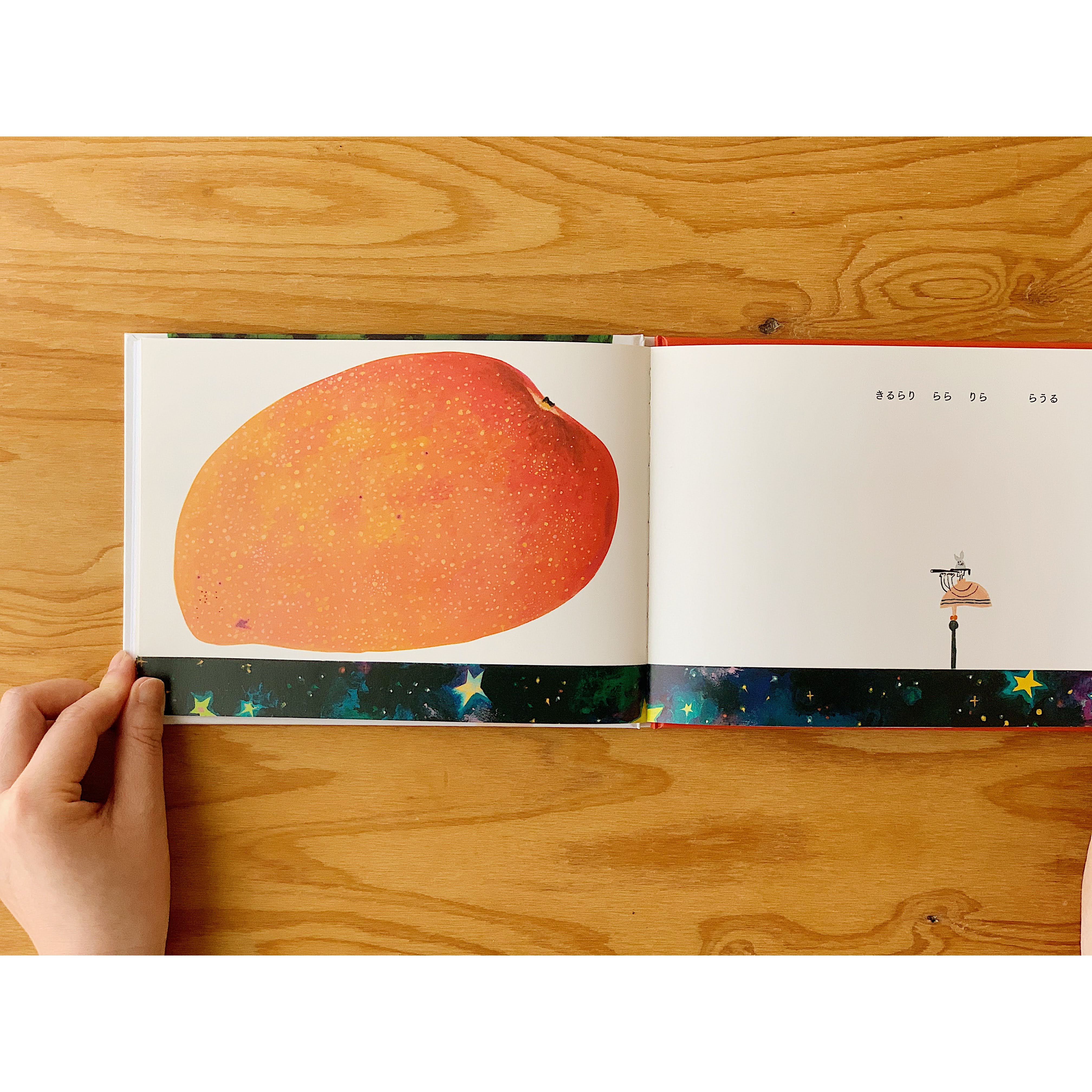 Fruit Punch Picture Book - Image 9