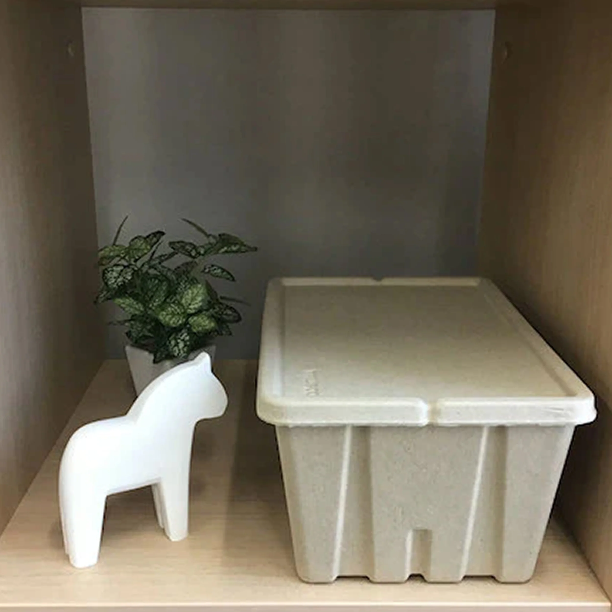 Pulp Storage Box - Image 4