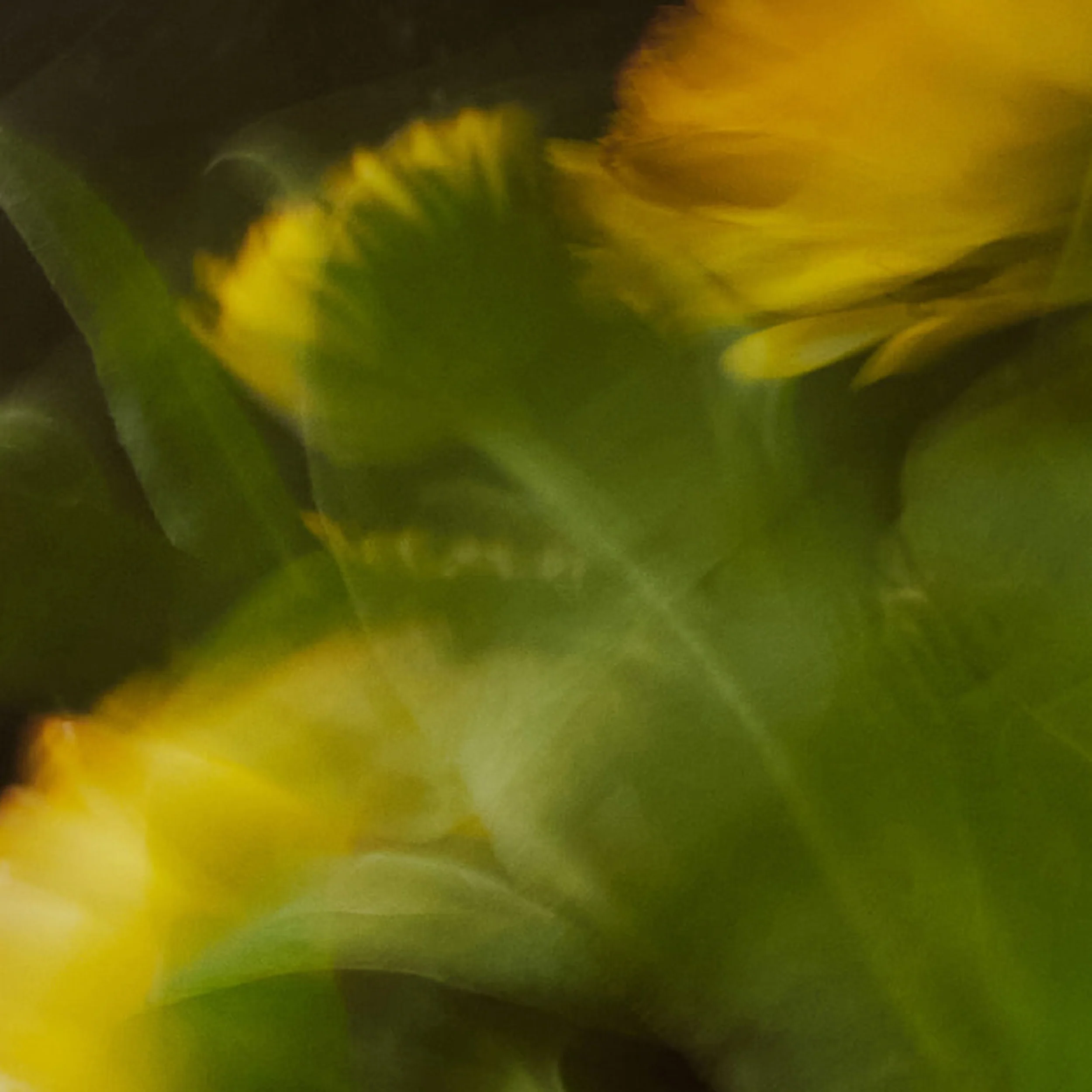 Room Spray - Image 10