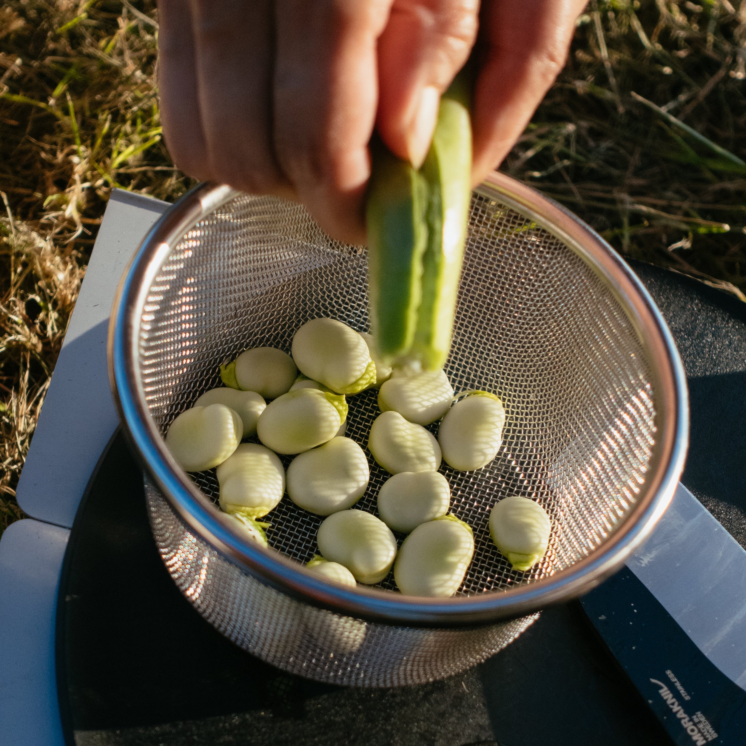 Sierra Cup Strainer - Image 13