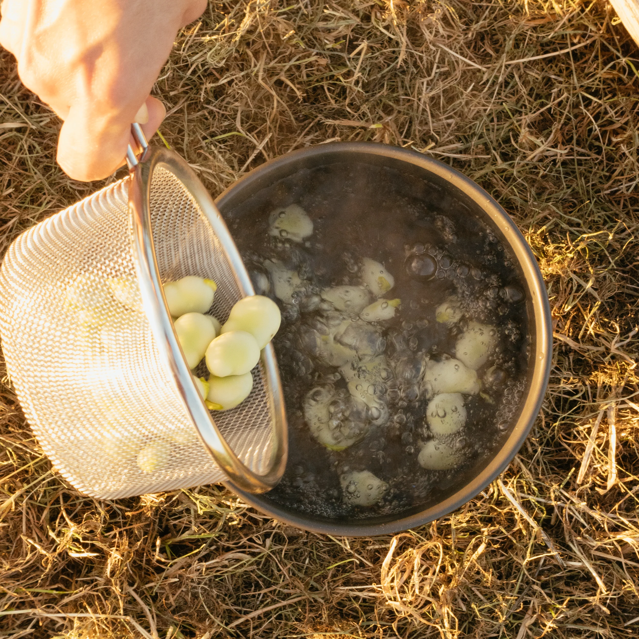 Sierra Cup Strainer - Image 15