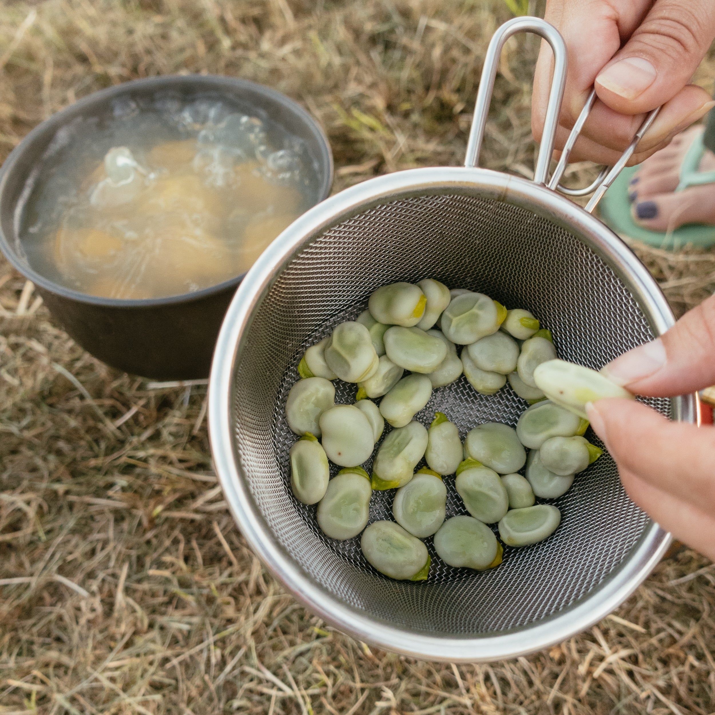 Sierra Cup Strainer - Image 16