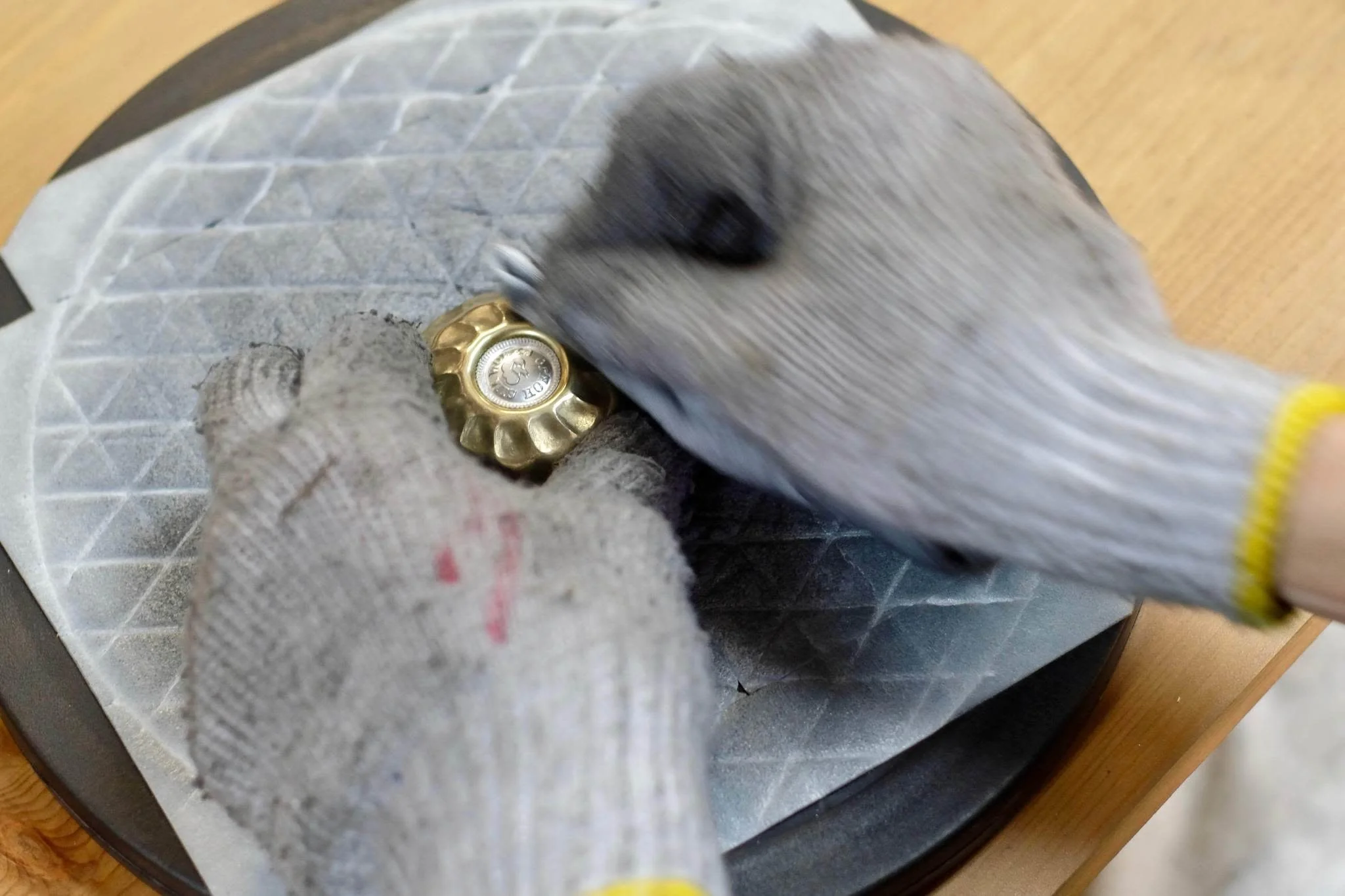 Turtle Bell - Image 4