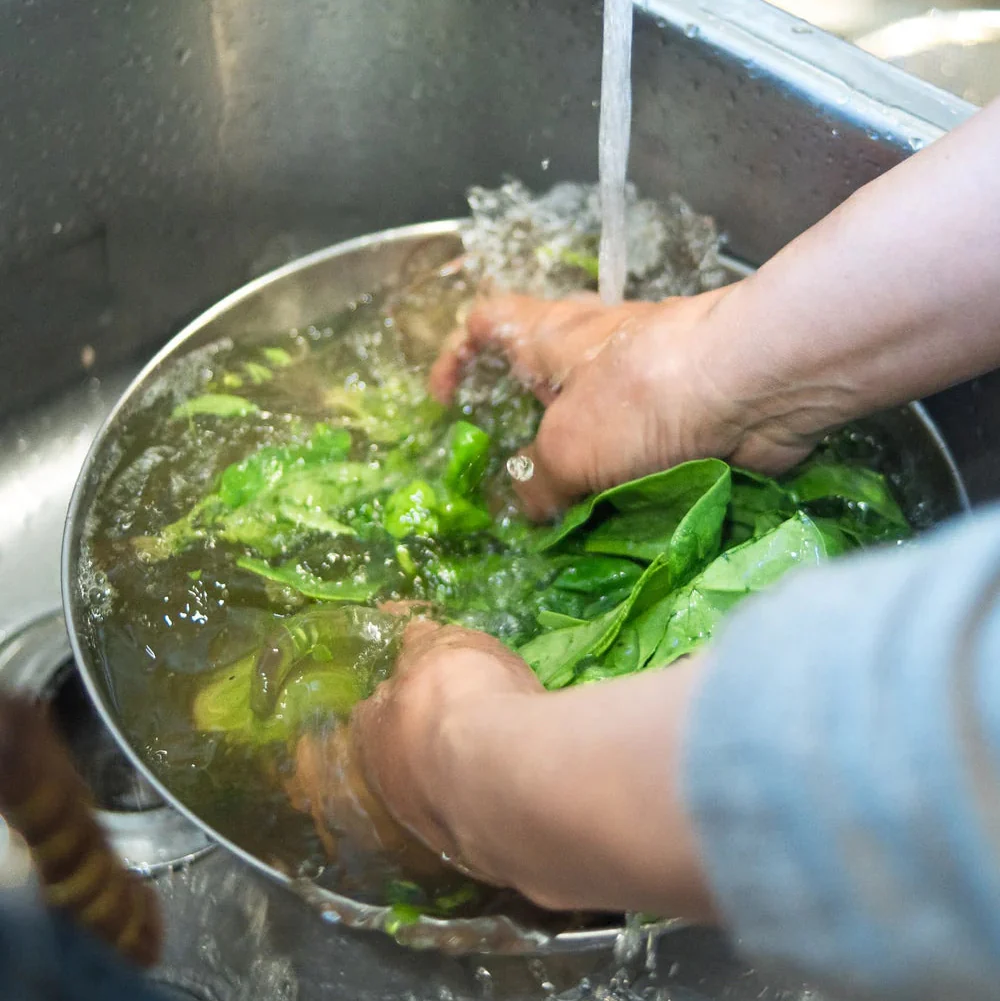 Stainless Steel Bowl - Image 16