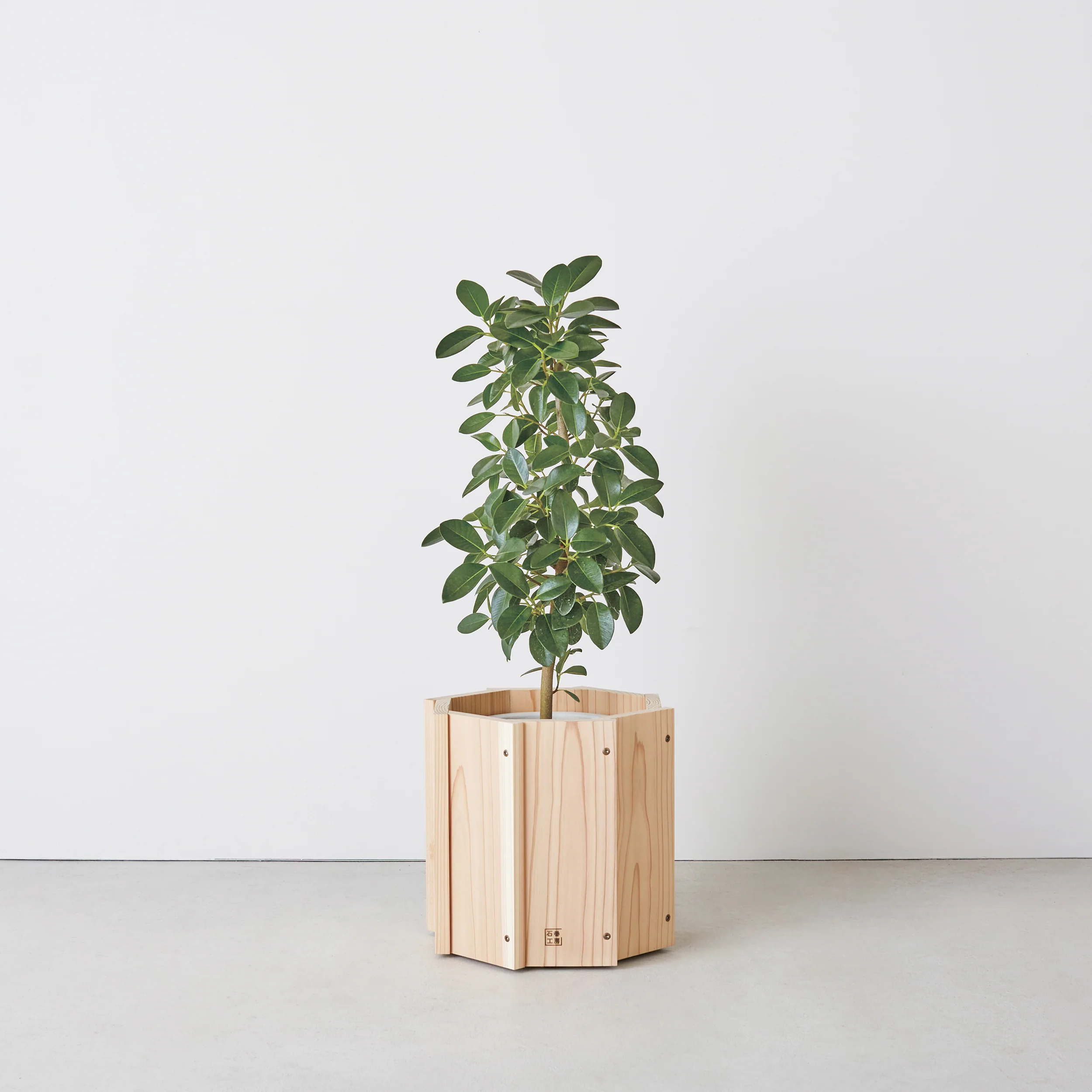 Stave Planter - Image 2