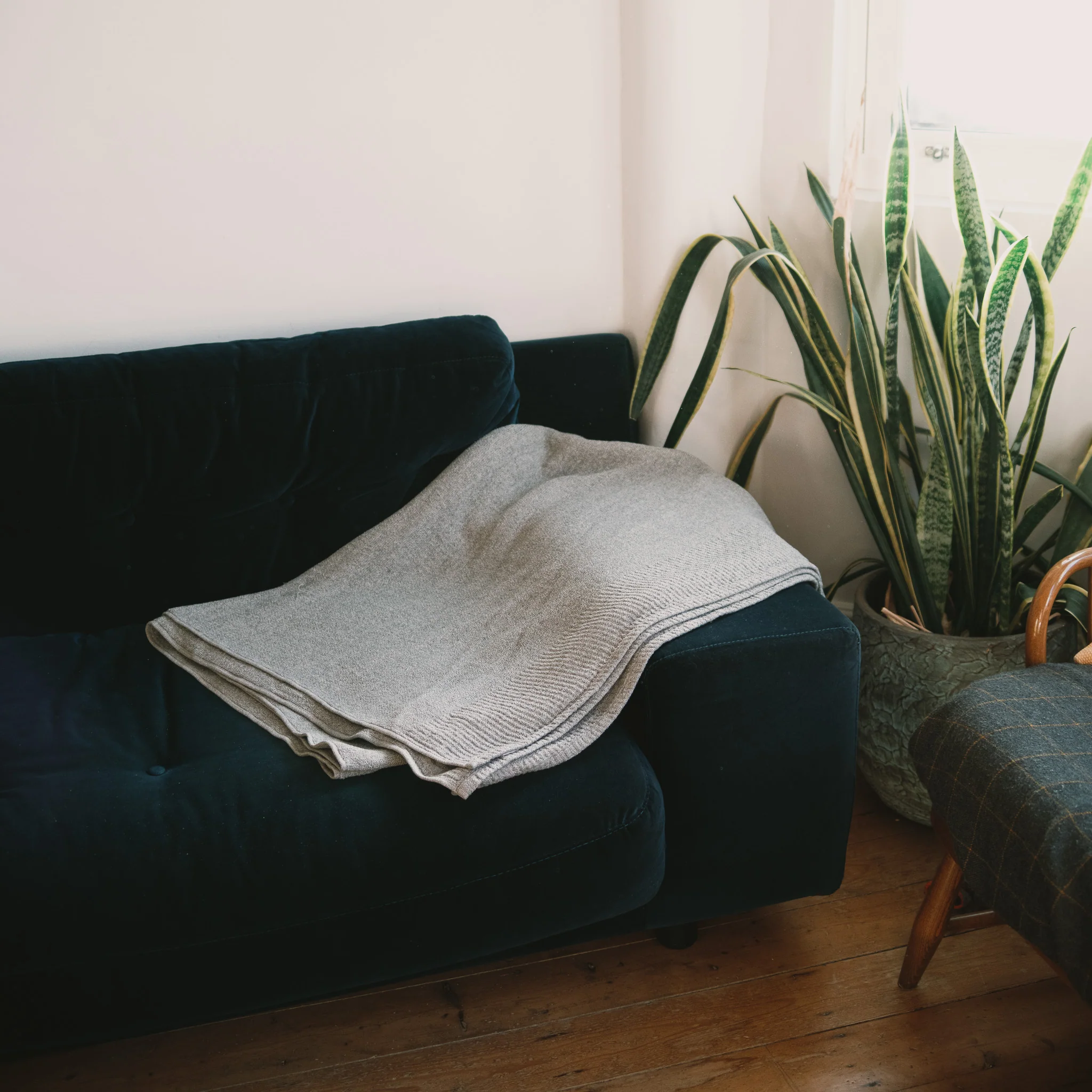 Lana Blanket - Image 11