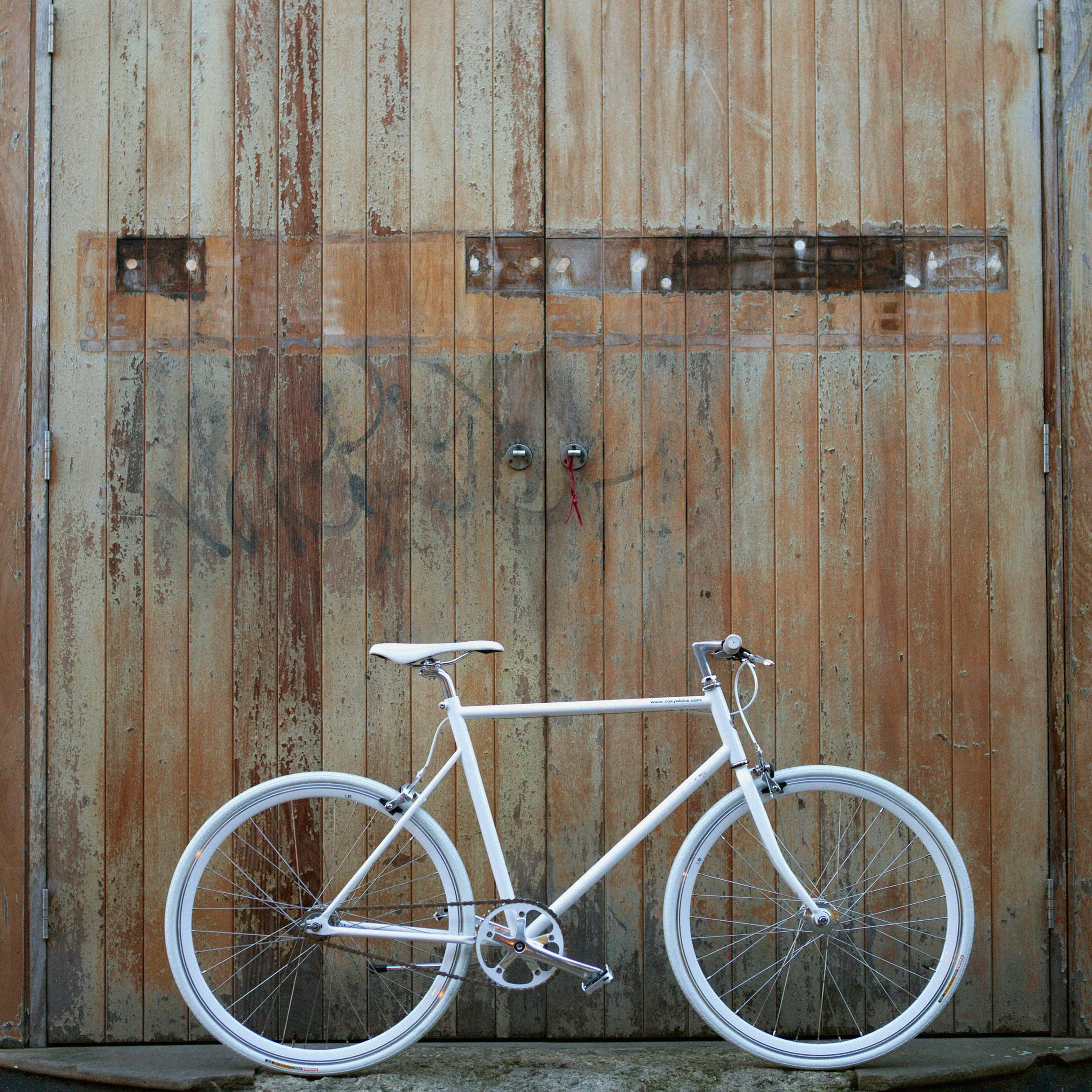 White Saddle - Image 2